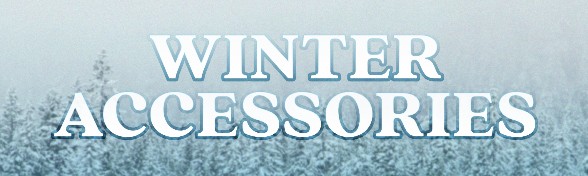 A graphic with trees and snow and the words "Winter Accessories"
